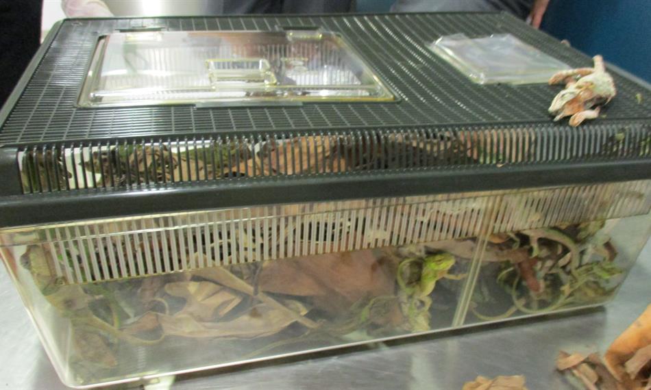 2016-6-3-137foto 5.jpg